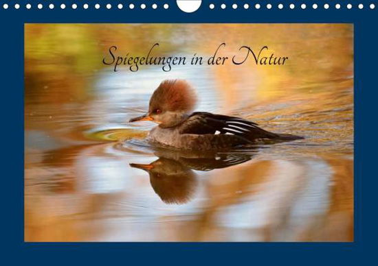 Cover for Erlwein · Spiegelungen in der Natur (Wand (Book)