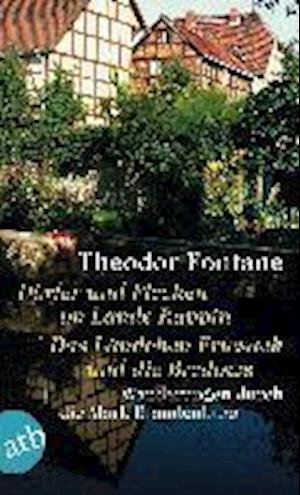 Cover for Theodor Fontane · Wanderungen durch die Mark Brandenburg 04 (Paperback Bog) (2013)