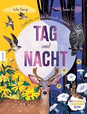 Lela Nargi · Tag und Nacht (Book) (2024)