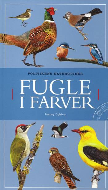 Politikens naturguider.: Fugle i farver - Tommy Dybbro - Bøger - Politiken i samarbejde med Danmarks Natu - 9788756776493 - 4. juli 2006