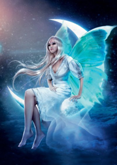 Cover for Lo Scarabeo · White Fairy (SPILLKORT) (2011)