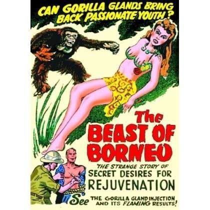 Cover for Beast of Borneo (DVD) (2013)