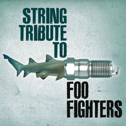String Tribute to Foo Fighters - V/A - Muziek - CC E - 0707541948494 - 19 april 2011