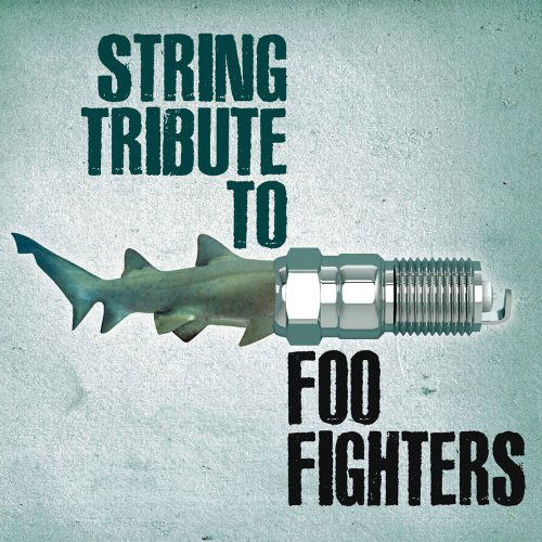 String Tribute to Foo Fighters - V/A - Musik - CC E - 0707541948494 - 19. april 2011