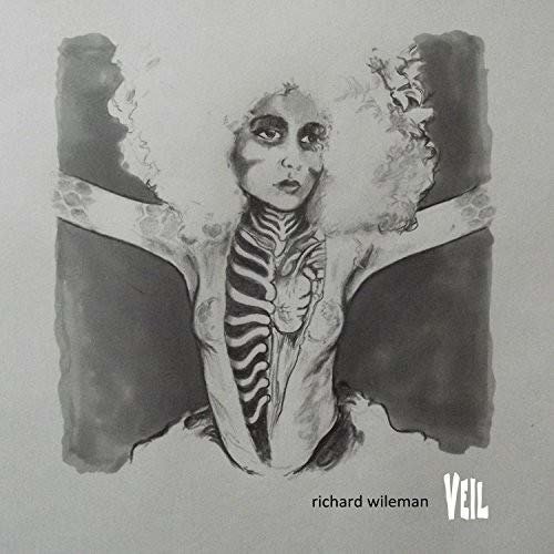 Cover for Richard Wileman · Veil (CD) (2018)