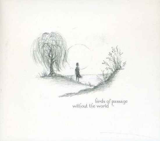 Without The World - Birds Of Passage - Music - DENOVALI - 4024572470494 - April 6, 2018