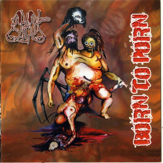 Cover for Anal Grind · Born To Porn (CD)