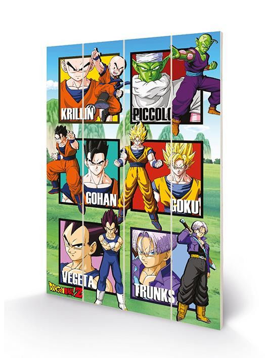 Dragon Ball Warrior Squares Wood Print - Wood Poster - Marchandise - - 5051265885494 - 3 février 2020