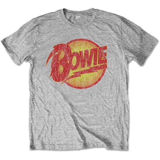Cover for David Bowie · David Bowie Kids T-Shirt: Vintage Diamond Dogs Logo (7-8 Years) (T-shirt) [size 7-8yrs] [Grey - Kids edition]