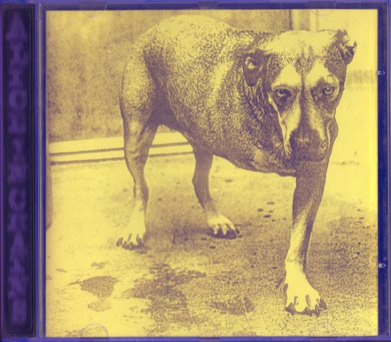 Cover for Alice In Chains (CD)