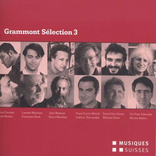 Grammont Selection 3 / Various - Grammont Selection 3 / Various - Música - MS - 7613206848494 - 2010