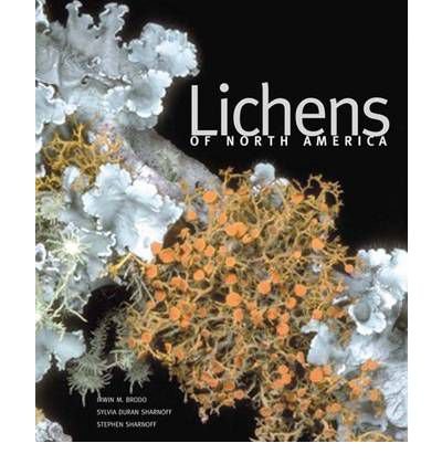 Cover for Irwin M. Brodo · Lichens of North America (Hardcover bog) (2001)
