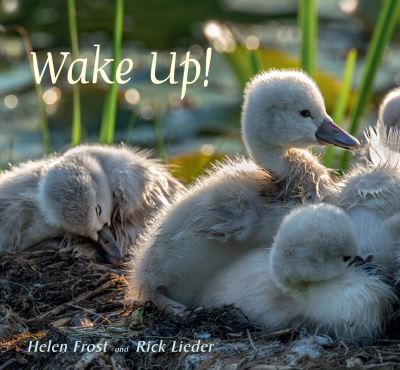 Cover for Helen Frost · Wake Up! (Hardcover Book) (2017)