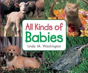 All Kinds of Babies Leveled Reader Grade K - Washington - Bøker - RIGBY - 9781418933494 - 2007