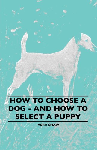 Cover for Vero Shaw · How to Choose a Dog - and How to Select a Puppy (Paperback Book) (2010)