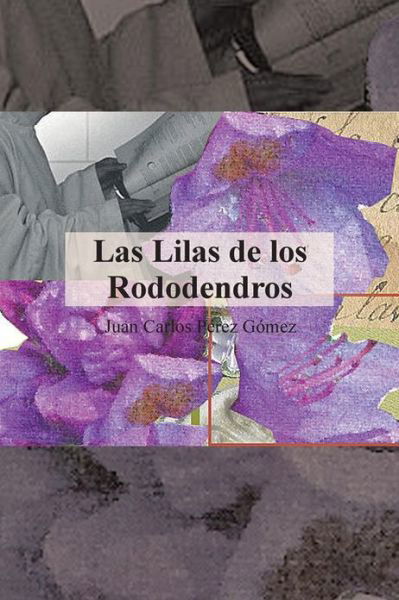 Cover for Juan Carlos Pérez Gómez · Las Lilas De Los Rododendros (Paperback Book) [Spanish edition] (2013)