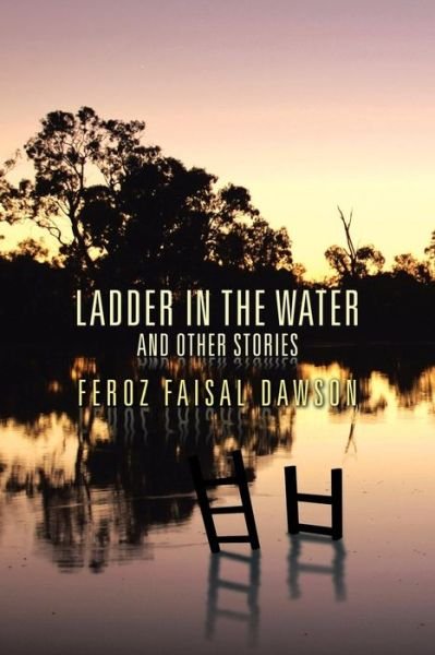 Cover for Feroz Faisal Dawson · Ladder in the Water and Other Stories (Paperback Book) (2014)