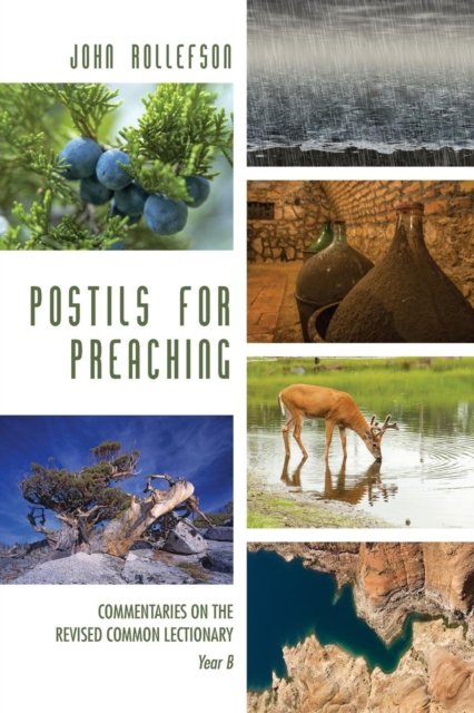 Postils for Preaching - John Rollefson - Livres - Wipf & Stock Publishers - 9781498290494 - 9 décembre 2016