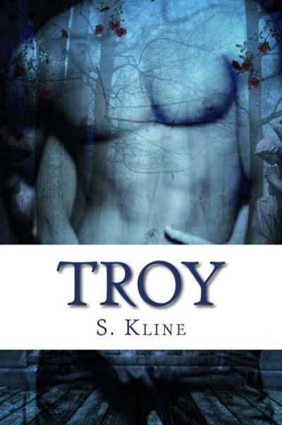 Cover for S Kline · Troy: Fianna Fail: Soldiers of Destiny (Taschenbuch) (2014)