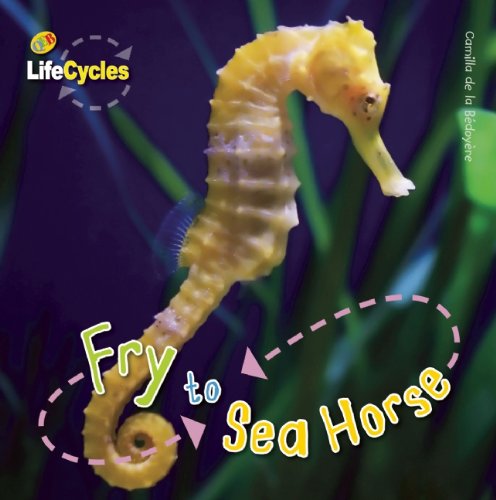 Fry to Seahorse (Lifecycles) - Camilla De La Bedoyere - Kirjat - QEB Publishing - 9781609920494 - perjantai 7. tammikuuta 2011