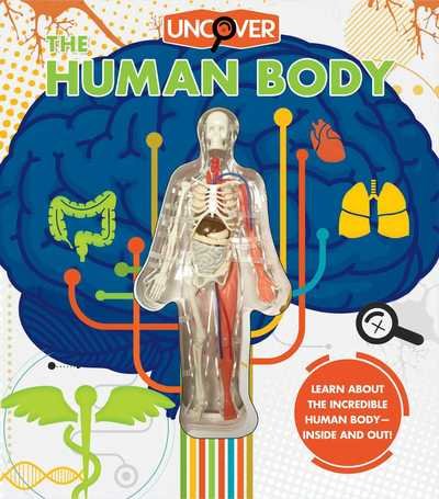 Cover for Luann Colombo · Uncover the Human Body - Uncover (Hardcover Book) (2021)