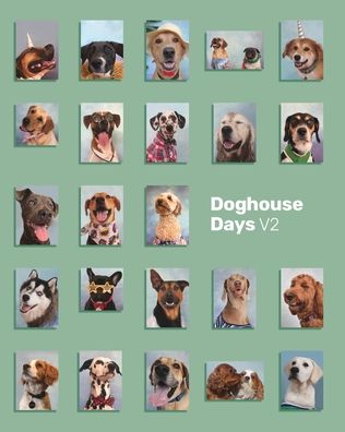 Cover for The Doghouse Pupils · Doghouse Days Yearbook V2 (Paperback Book) (2025)