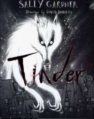 Cover for Sally Gardner · Tinder (Hardcover Book) (2014)