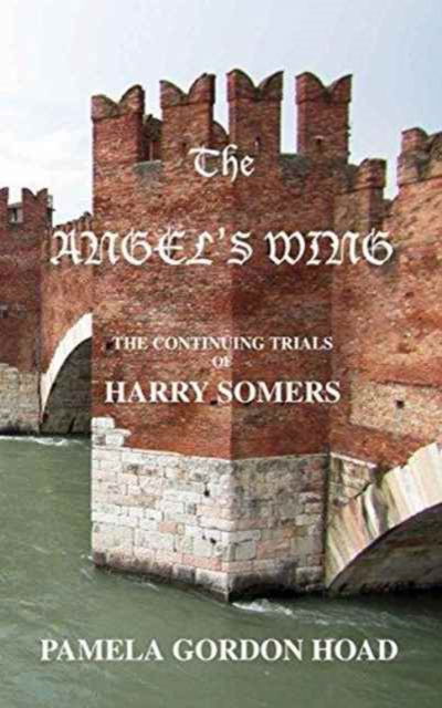 Cover for Pamela Gordon Hoad · The Angel's Wing : The Continuing Trials of Harry Somers : 2 (Paperback Book) (2016)