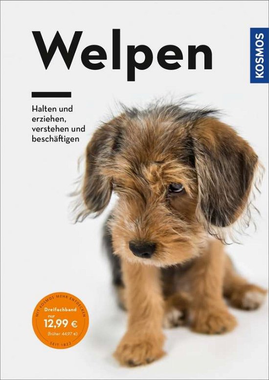 Cover for Lübbe-Scheuermann · Welpen (Bog)