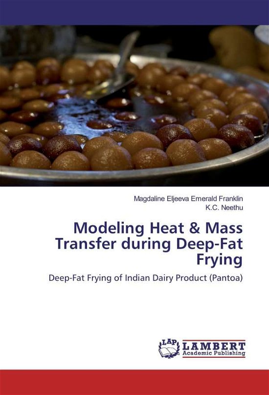 Cover for Franklin · Modeling Heat &amp; Mass Transfer (Buch)