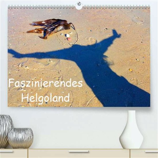 Cover for Raab · Faszinierendes Helgoland (Premium- (Book)