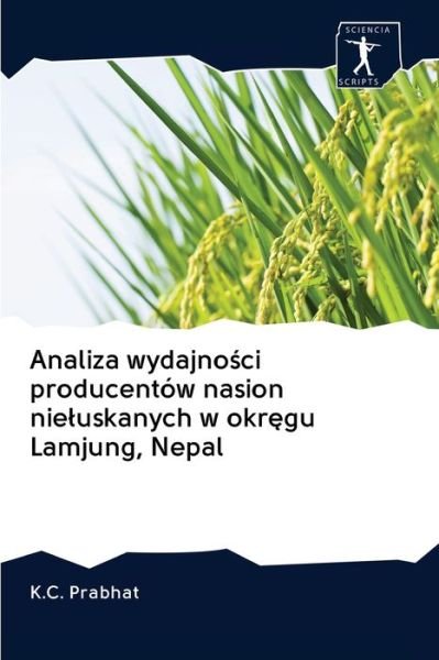 Cover for Prabhat · Analiza wydajnosci producentów (Bog) (2020)