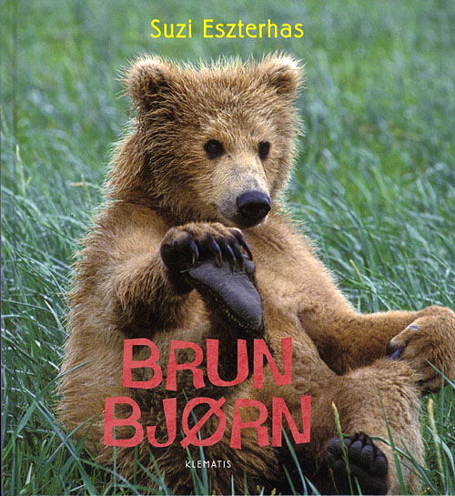 Se på vilde dyr: Brun bjørn - Suzi Eszterhas - Książki - Klematis - 9788764107494 - 1 kwietnia 2012