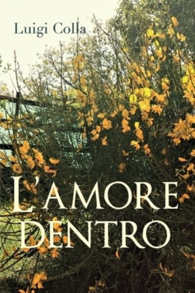 Cover for Luigi Colla · L'amore dentro (Paperback Book) (2019)
