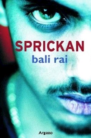 Cover for Bali Rai · Läsvänligt: Sprickan (Book) (2008)