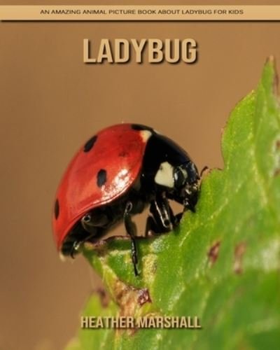 Cover for Heather Marshall · Ladybug: An Amazing Animal Picture Book about Ladybug for Kids (Taschenbuch) (2021)