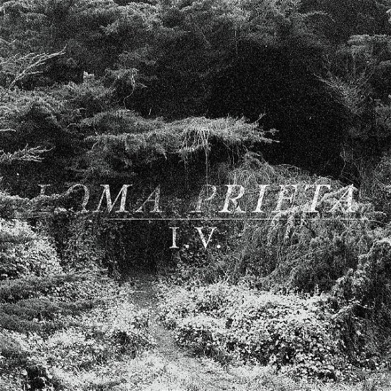 Cover for Loma Prieta · Iv (LP) (2012)
