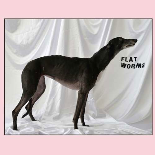 Cover for Flat Worms (LP) (2017)