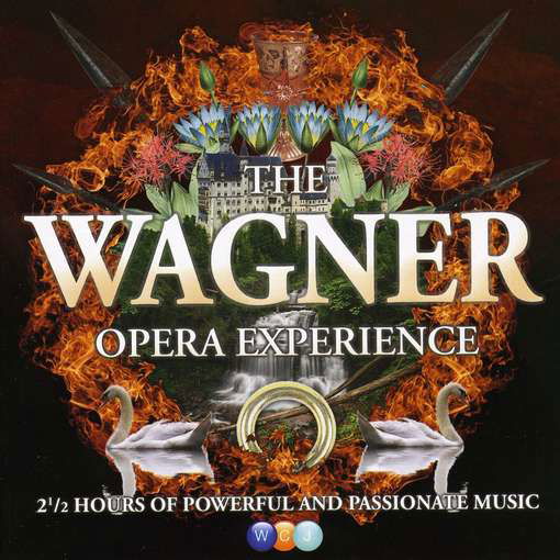 The Wagner Opera Experience - Varios Interpretes - Music - WEA - 0825646834495 - November 9, 2017