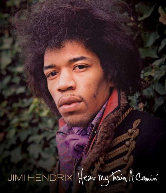 Cover for The Jimi Hendrix Experience · Hear My Train a Comin (DVD) (2013)