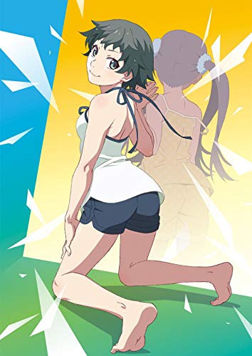 Cover for Nisio Isin · Zoku.owari Monogatari Koyomi Reverse Jou (MDVD) [Japan Import edition] (2019)