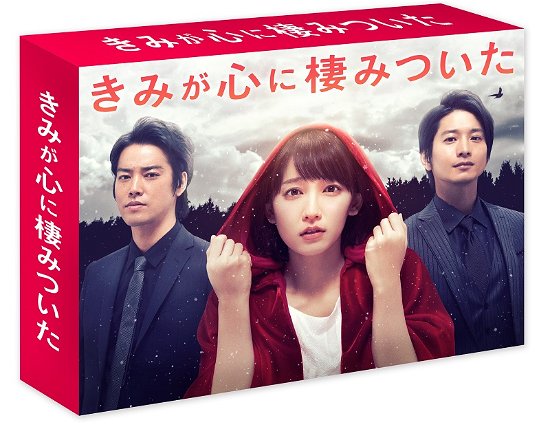 Cover for Yoshioka Riho · Kimi Ga Kokoro Ni Sumi Tsuita Blu-ray Box (MBD) [Japan Import edition] (2018)