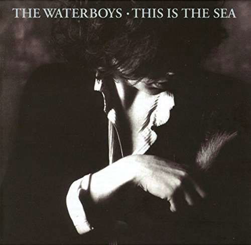 This Is The Sea - The Waterboys - Musik - CHRYSALIS - 5060516090495 - 1. september 2017