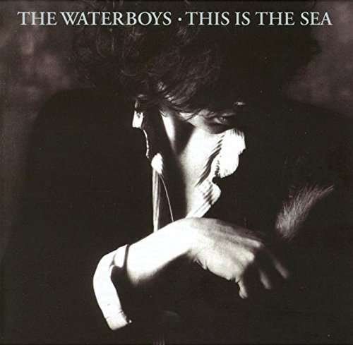 Cover for Waterboys · This Is The Sea (CD) [Coll. edition] (2017)