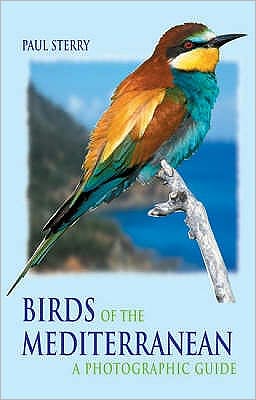 Birds of the Mediterranean: A Photographic Guide - Paul Sterry - Kirjat - Bloomsbury Publishing PLC - 9780713663495 - maanantai 21. kesäkuuta 2004