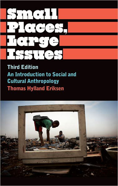Cover for Thomas Hylland Eriksen · Small Places, Large Issues (Pocketbok) [3 Rev edition] (2010)