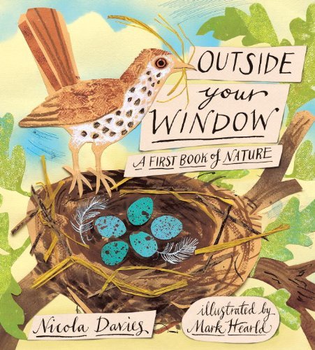 Cover for Nicola Davies · Outside Your Window: a First Book of Nature (Innbunden bok) [Gift edition] (2012)