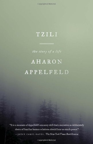Cover for Aharon Appelfeld · Tzili: The Story of a Life (Paperback Book) (2012)