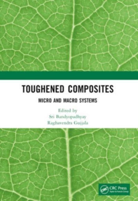 Toughened Composites: Micro and Macro Systems (Pocketbok) (2024)