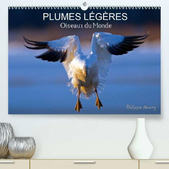 Cover for Henry · PLUMES LÉGÈRES. Oiseaux du Monde (Book)